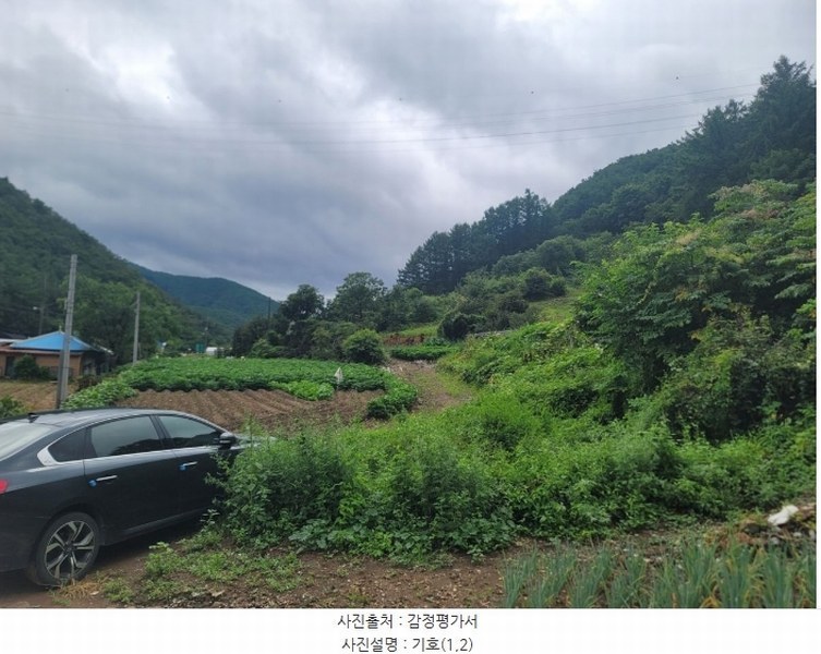 2024타경1444 강원특별자치도 영월군 산솔면 석항리 565 농지 경매 이미지