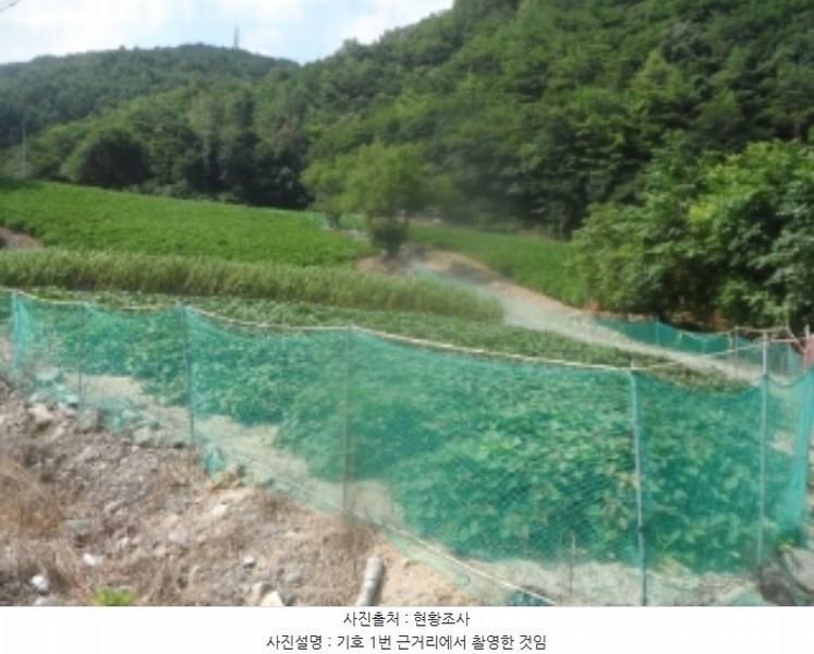 2024타경1444 강원특별자치도 영월군 산솔면 석항리 565 농지 경매 이미지