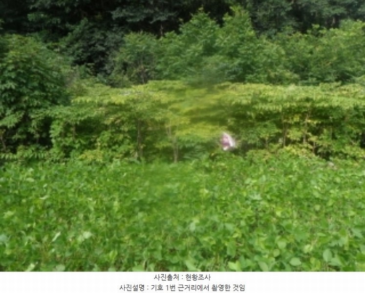 2024타경1444 강원특별자치도 영월군 산솔면 석항리 565 농지 경매 이미지