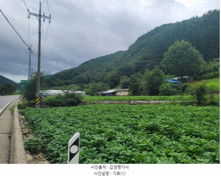 2024타경1444 강원특별자치도 영월군 산솔면 석항리 565 농지 경매 이미지