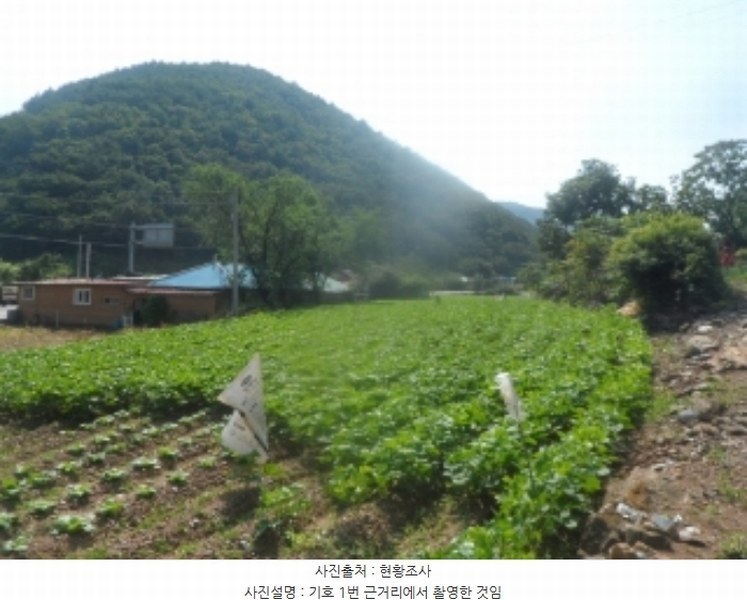 2024타경1444 강원특별자치도 영월군 산솔면 석항리 565 농지 경매 이미지
