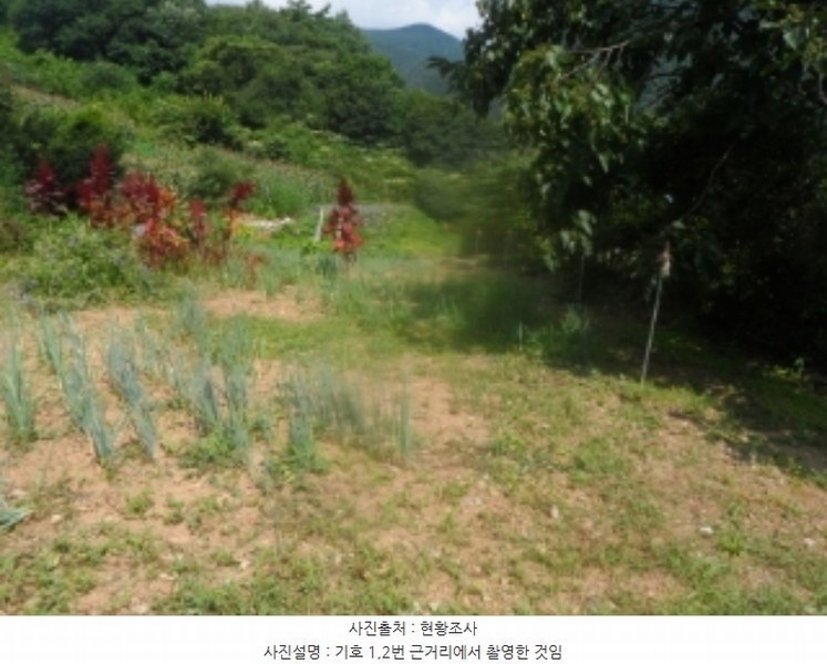 2024타경1444 강원특별자치도 영월군 산솔면 석항리 565 농지 경매 이미지