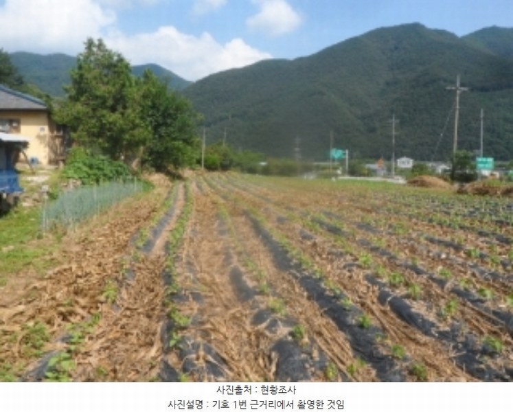 2024타경1444 강원특별자치도 영월군 산솔면 석항리 565 농지 경매 이미지
