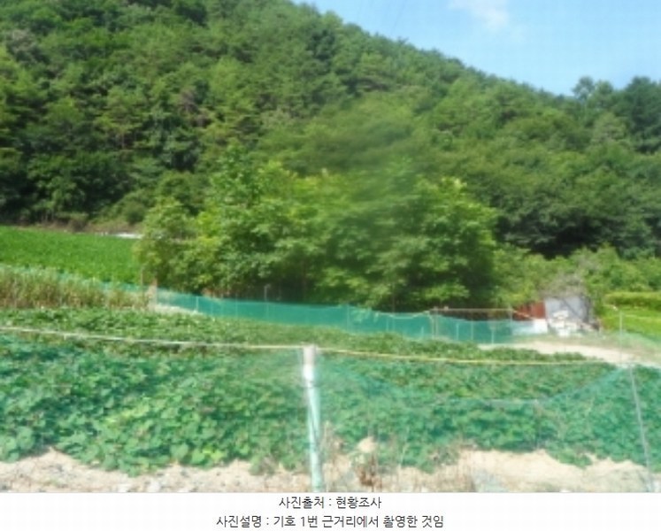 2024타경1444 강원특별자치도 영월군 산솔면 석항리 565 농지 경매 이미지