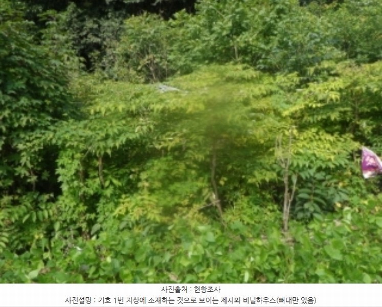 2024타경1444 강원특별자치도 영월군 산솔면 석항리 565 농지 경매 이미지