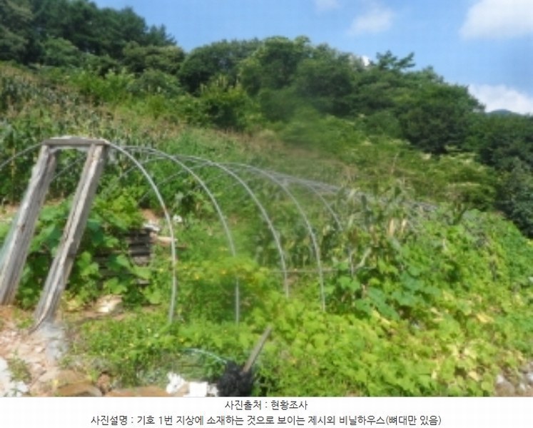 2024타경1444 강원특별자치도 영월군 산솔면 석항리 565 농지 경매 이미지