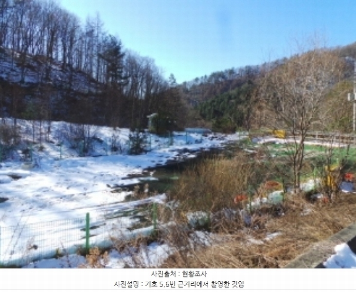 2024타경2119 강원특별자치도 평창군 용평면 도사리 110 농지 경매 이미지