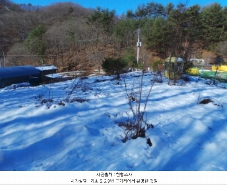2024타경2119 강원특별자치도 평창군 용평면 도사리 110 농지 경매 이미지
