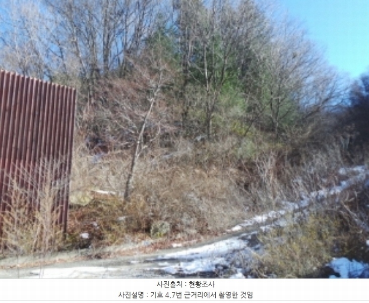 2024타경2119 강원특별자치도 평창군 용평면 도사리 110 농지 경매 이미지