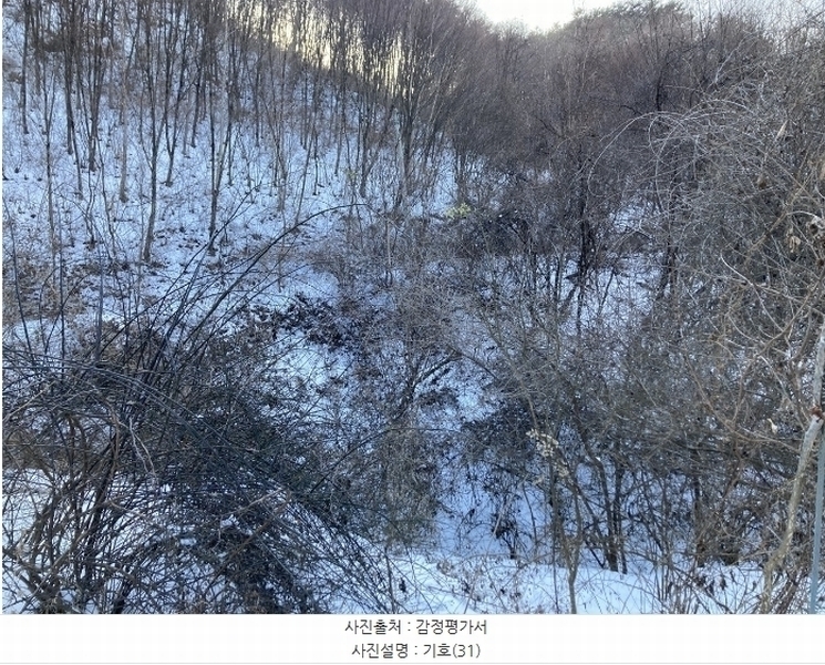 2024타경2195 강원특별자치도 평창군 대화면 개수리 859 농지 경매 이미지