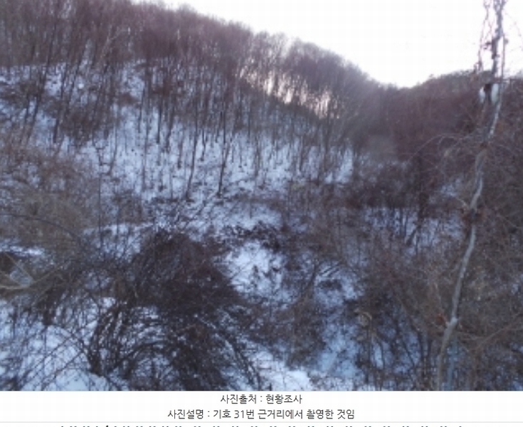 2024타경2195 강원특별자치도 평창군 대화면 개수리 859 농지 경매 이미지