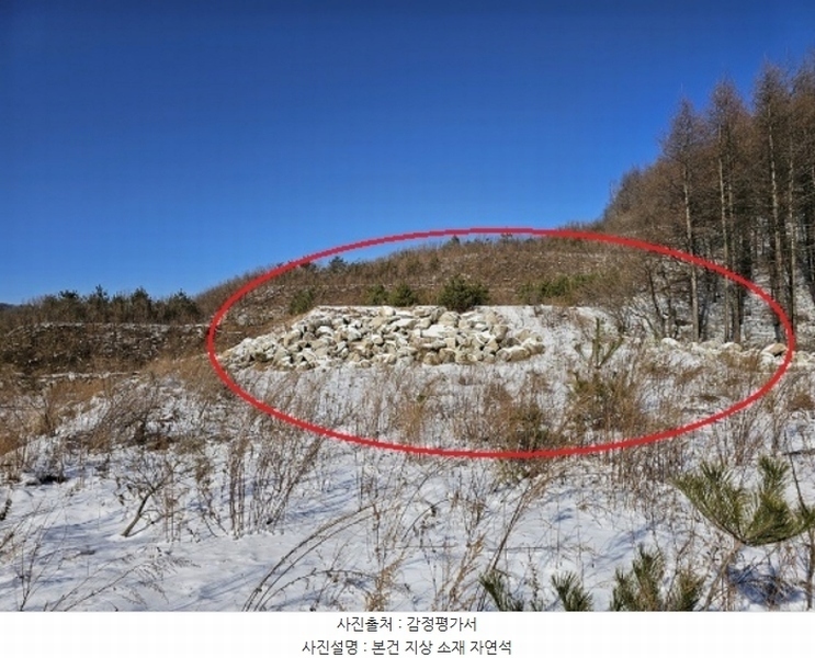 2024타경2270 강원특별자치도 평창군 대관령면 용산리 산67 임야 경매 이미지