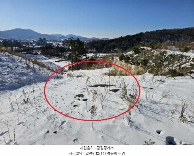 2024타경2270 강원특별자치도 평창군 대관령면 용산리 산67 임야 경매 이미지