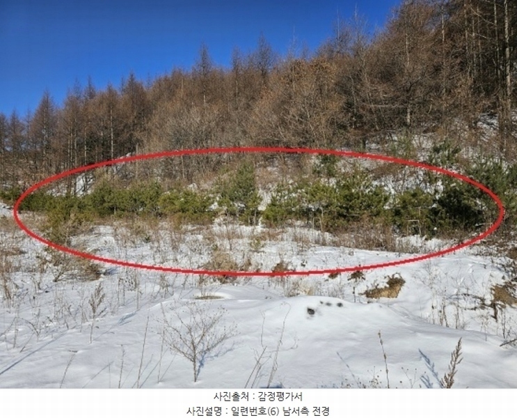 2024타경2270 강원특별자치도 평창군 대관령면 용산리 산67 임야 경매 이미지