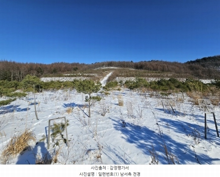 2024타경2270 강원특별자치도 평창군 대관령면 용산리 산67 임야 경매 이미지
