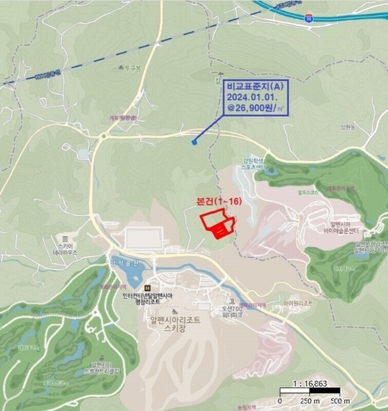 2024타경2270 강원특별자치도 평창군 대관령면 용산리 산67 임야 경매 이미지
