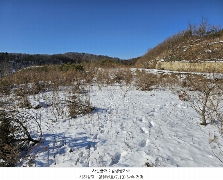2024타경2270 강원특별자치도 평창군 대관령면 용산리 산67 임야 경매 이미지