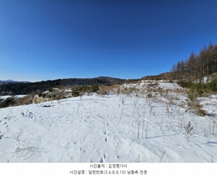 2024타경2270 강원특별자치도 평창군 대관령면 용산리 산67 임야 경매 이미지