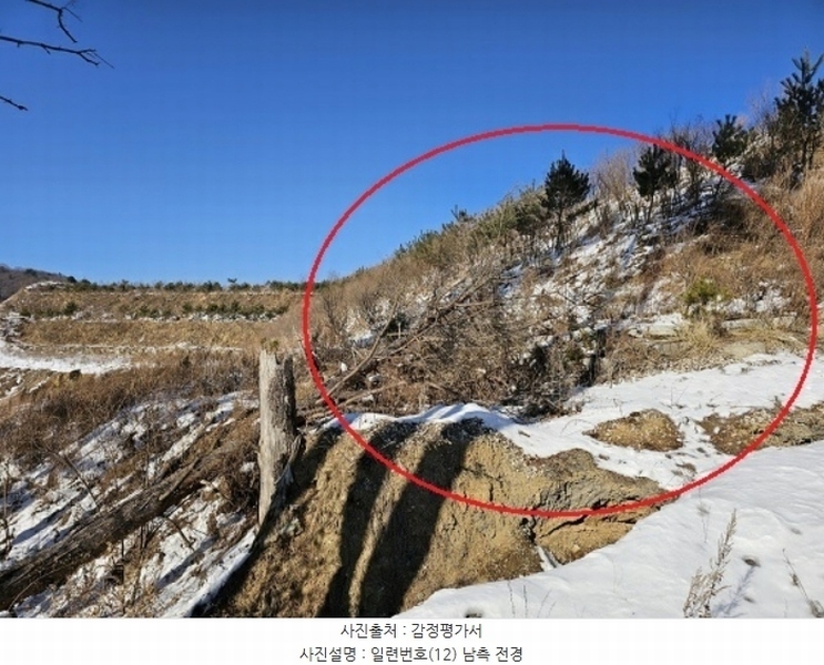 2024타경2270 강원특별자치도 평창군 대관령면 용산리 산67 임야 경매 이미지