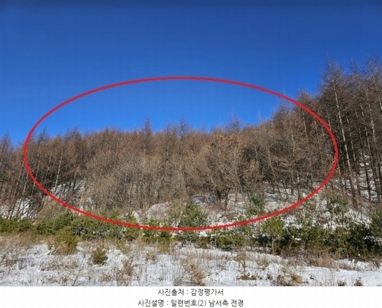 2024타경2270 강원특별자치도 평창군 대관령면 용산리 산67 임야 경매 이미지