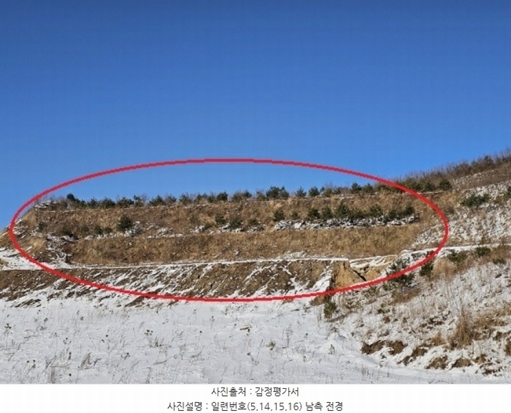 2024타경2270 강원특별자치도 평창군 대관령면 용산리 산67 임야 경매 이미지