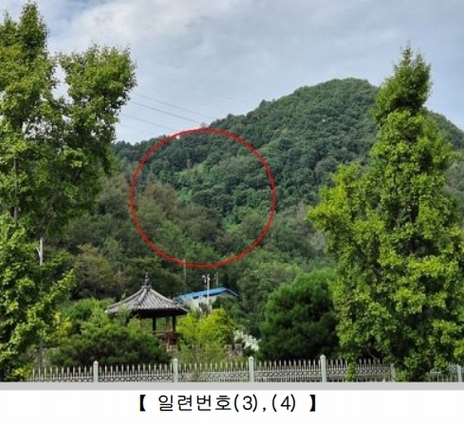 2024타경32271 강원특별자치도 영월군 영월읍 정양리 498 농지 경매 이미지
