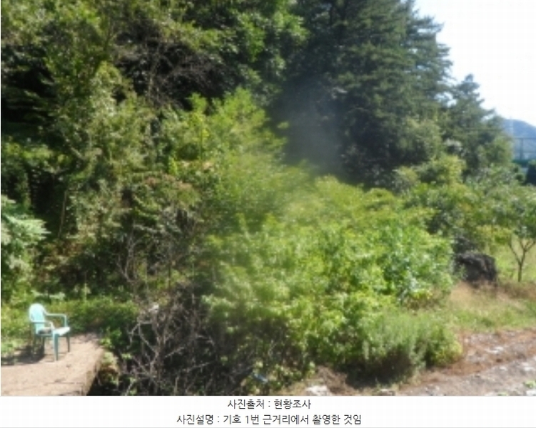 2024타경32271 강원특별자치도 영월군 영월읍 정양리 498 농지 경매 이미지