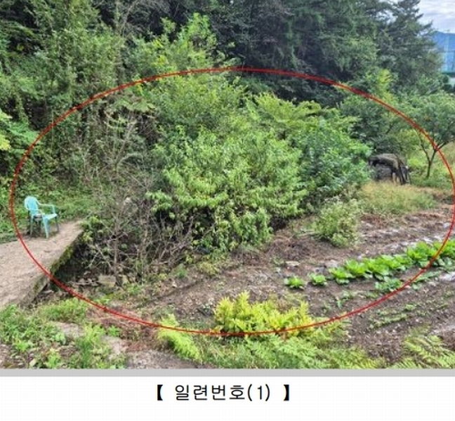2024타경32271 강원특별자치도 영월군 영월읍 정양리 498 농지 경매 이미지