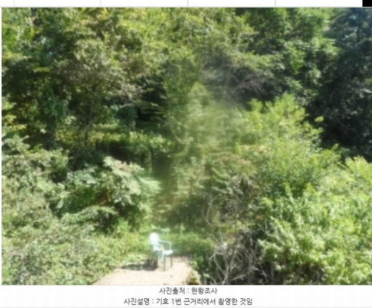 2024타경32271 강원특별자치도 영월군 영월읍 정양리 498 농지 경매 이미지