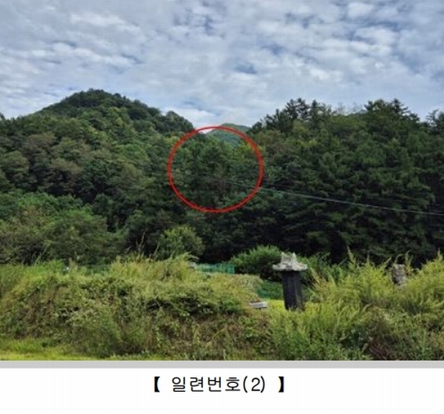 2024타경32271 강원특별자치도 영월군 영월읍 정양리 498 농지 경매 이미지