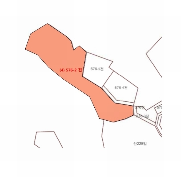 2024타경33397 강원특별자치도 평창군 봉평면 원길리 576-2 농지 경매 이미지