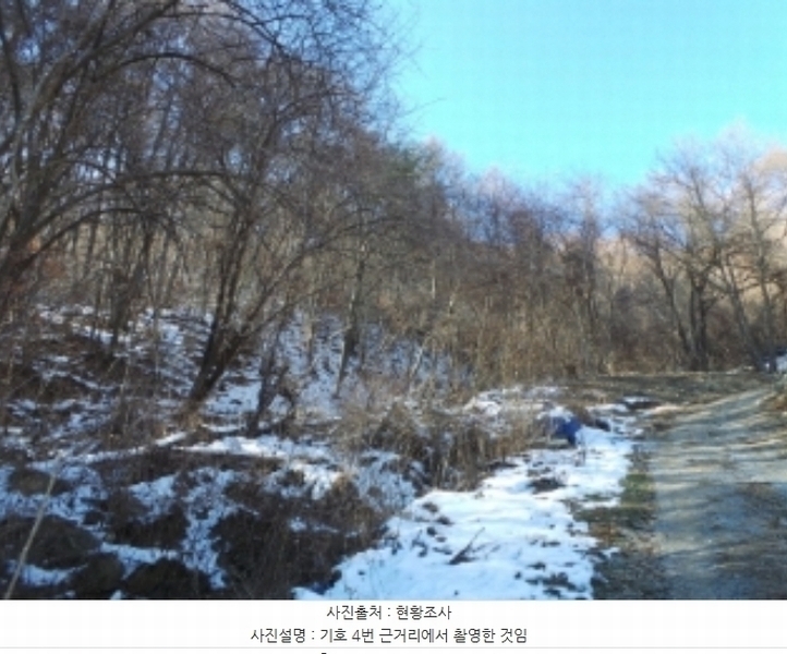 2024타경33397 강원특별자치도 평창군 봉평면 원길리 576-2 농지 경매 이미지
