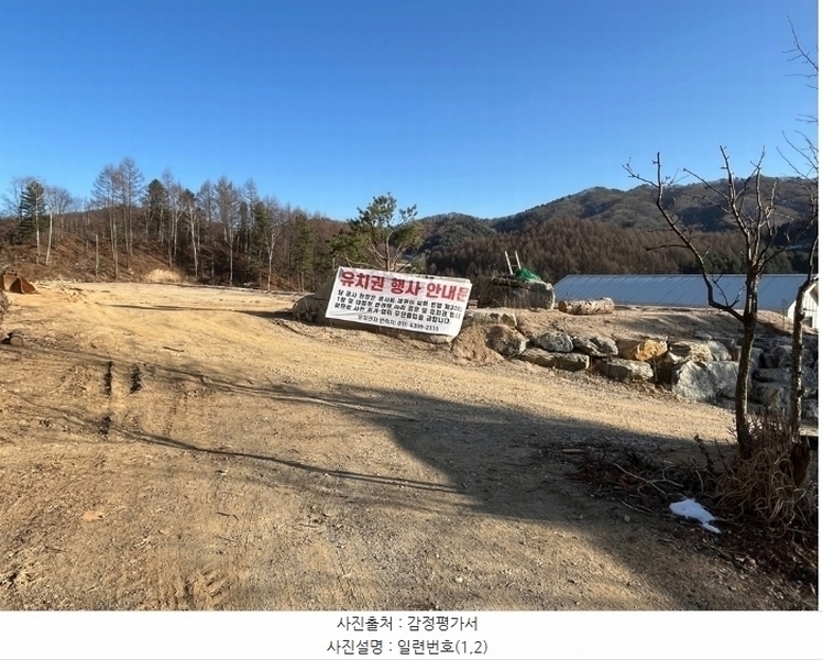 2024타경33557 강원특별자치도 평창군 봉평면 무이리 249-13 임야 경매 이미지