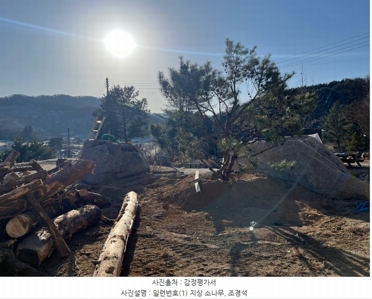 2024타경33557 강원특별자치도 평창군 봉평면 무이리 249-13 임야 경매 이미지