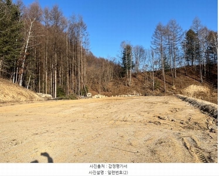 2024타경33557 강원특별자치도 평창군 봉평면 무이리 249-13 임야 경매 이미지