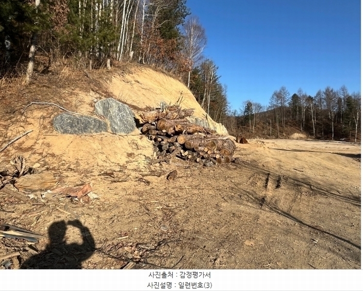 2024타경33557 강원특별자치도 평창군 봉평면 무이리 249-13 임야 경매 이미지