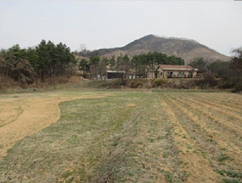 2025타경141 경상북도 예천군 풍양면 낙상리 663-4 농지 경매 이미지