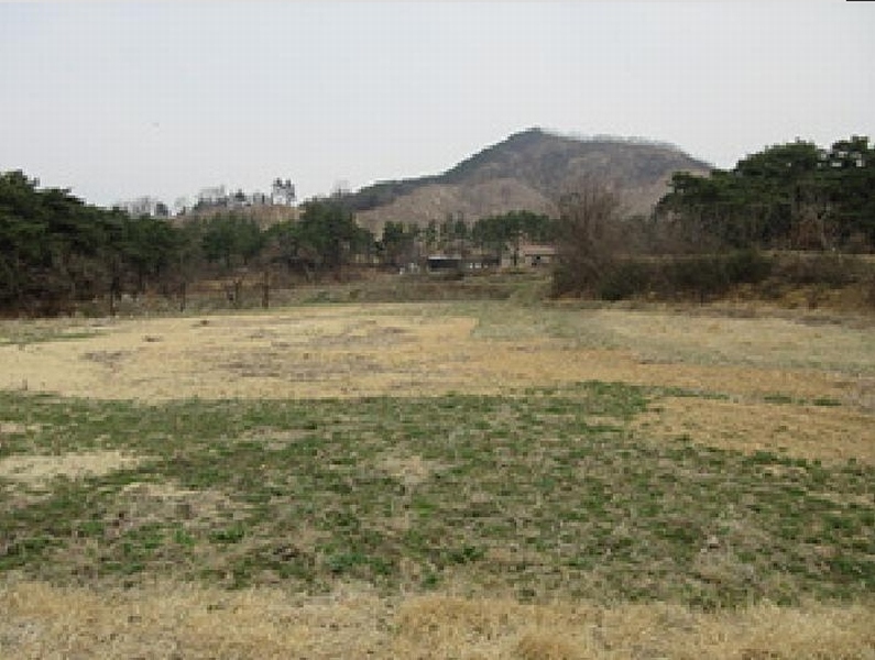 2025타경141 경상북도 예천군 풍양면 낙상리 663-4 농지 경매 이미지