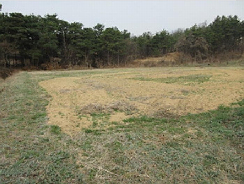 2025타경141 경상북도 예천군 풍양면 낙상리 663-4 농지 경매 이미지