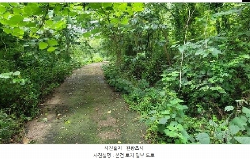2025타경271 경상남도 의령군 의령읍 하리 산149 임야 경매 이미지