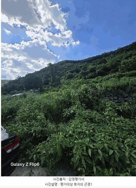 2025타경271 경상남도 의령군 의령읍 하리 산149 임야 경매 이미지