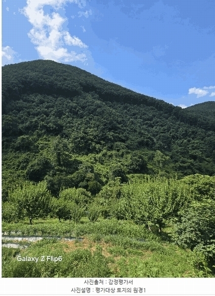 2025타경271 경상남도 의령군 의령읍 하리 산149 임야 경매 이미지