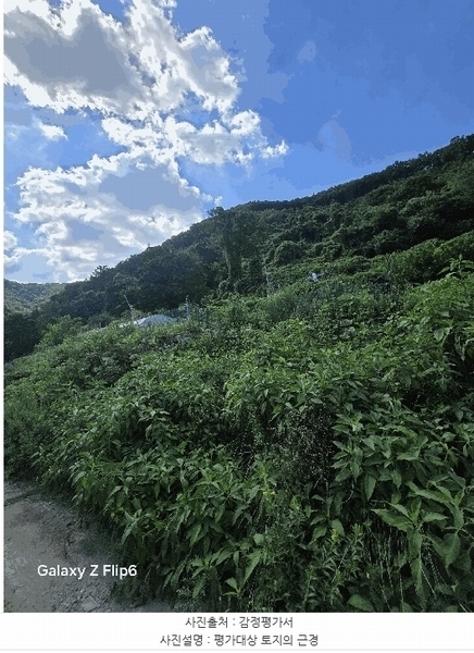 2025타경271 경상남도 의령군 의령읍 하리 산149 임야 경매 이미지