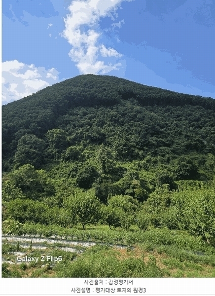 2025타경271 경상남도 의령군 의령읍 하리 산149 임야 경매 이미지