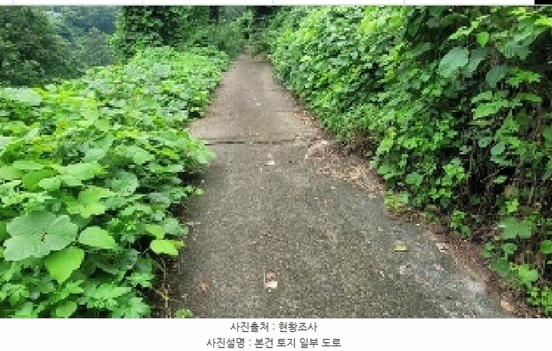 2025타경271 경상남도 의령군 의령읍 하리 산149 임야 경매 이미지