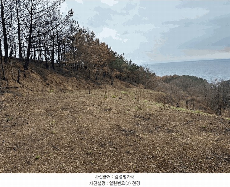 2025타경387 경상북도 영덕군 영덕읍 창포리 70 농지 경매 이미지