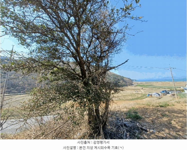 2025타경592 경상남도 남해군 서면 정포리 565-1 농지 경매 이미지