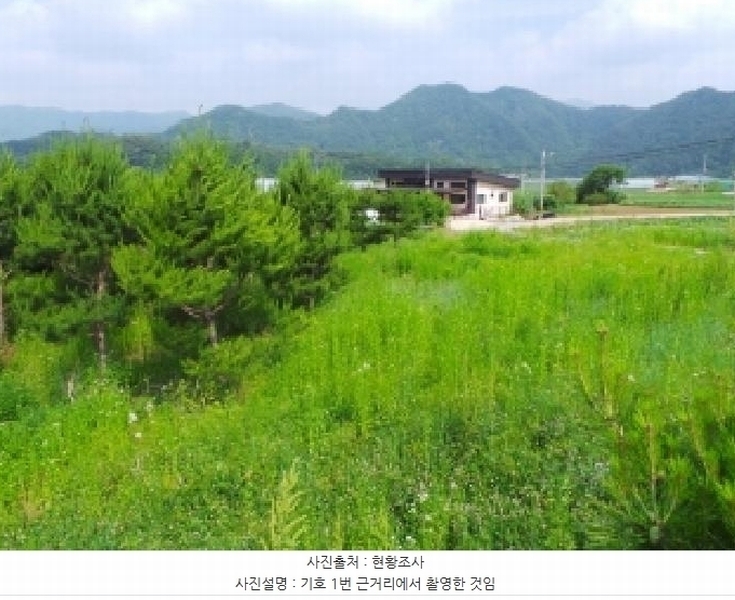 2025타경783 강원특별자치도 평창군 평창읍 도돈리 19-10 농지 경매 이미지