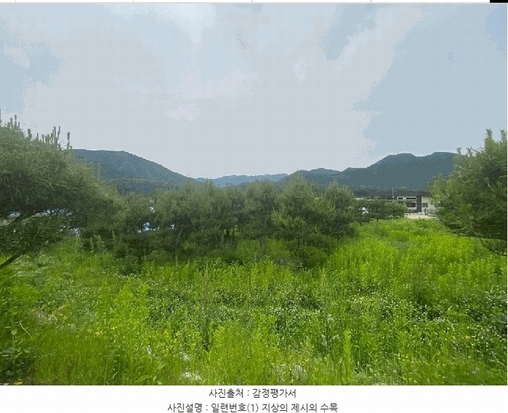 2025타경783 강원특별자치도 평창군 평창읍 도돈리 19-10 농지 경매 이미지