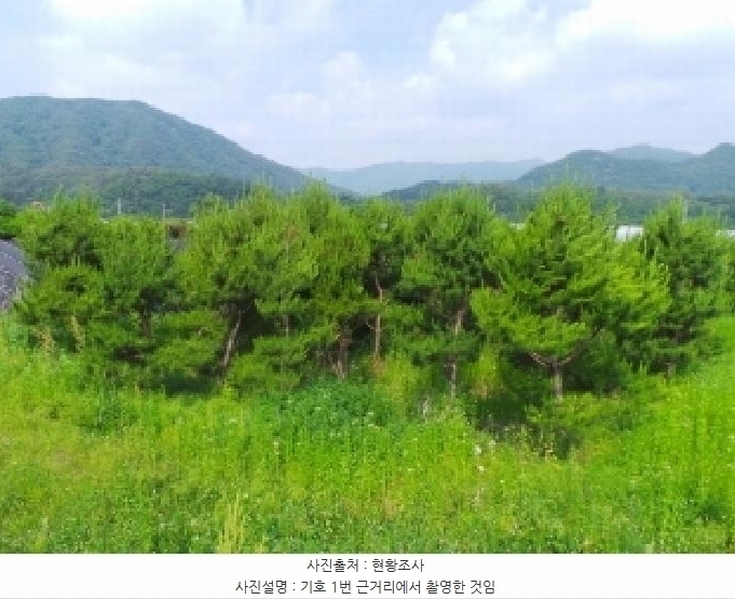 2025타경783 강원특별자치도 평창군 평창읍 도돈리 19-10 농지 경매 이미지